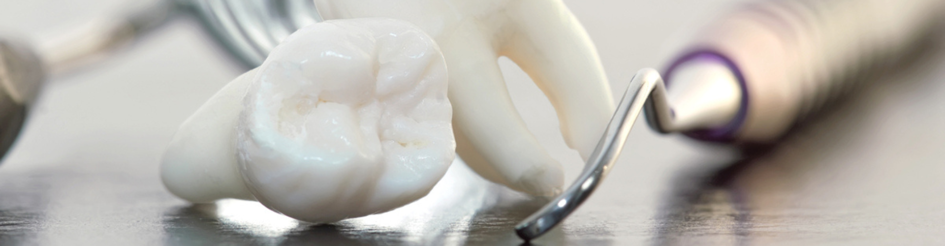 Two artificial teeth with a dental tool beside them.